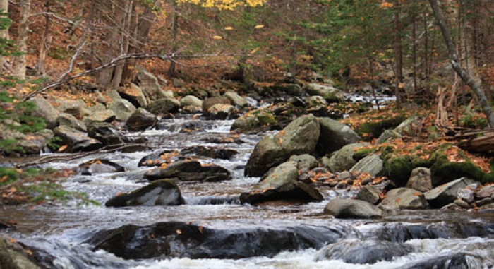fishing cove 2.jpg